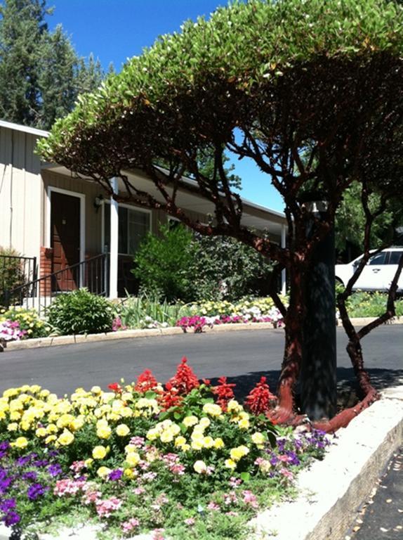 America'S Best Value Inn Mariposa Lodge Exterior foto